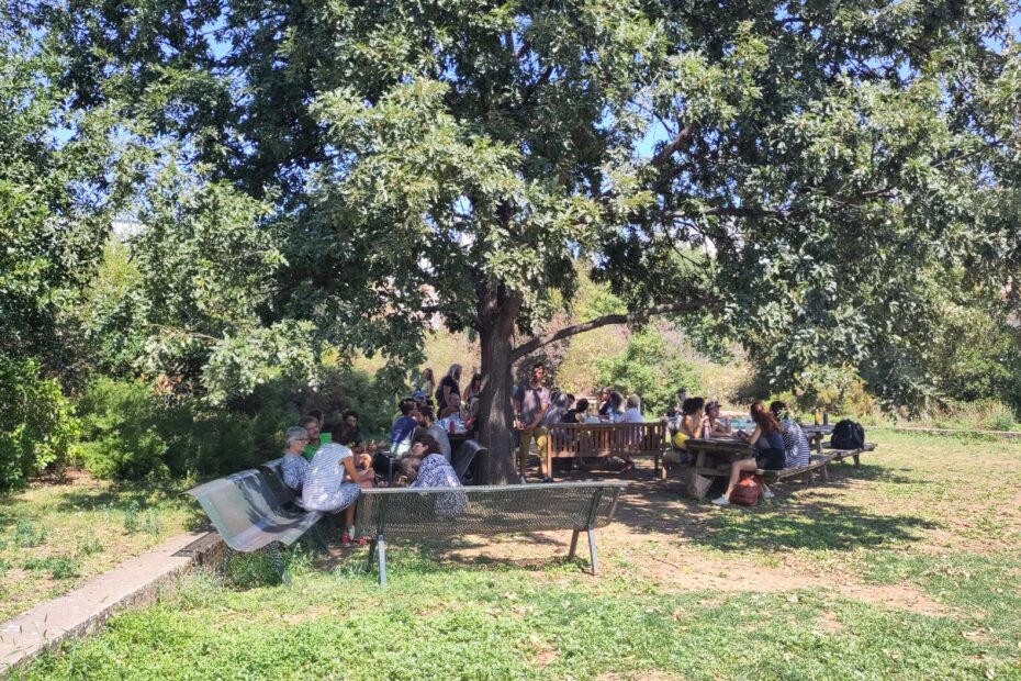 Un groupe de personnes assises autour d'un arbre pendant les Journées d'été des savoirs engagés et reliés